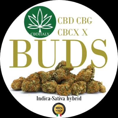 Cannabis Hemp Buds