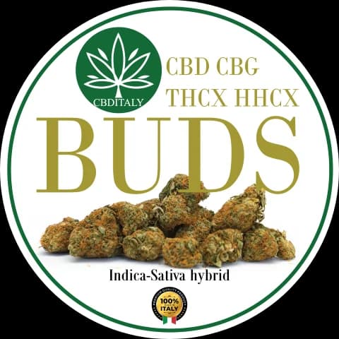 Cannabis Hemp Buds