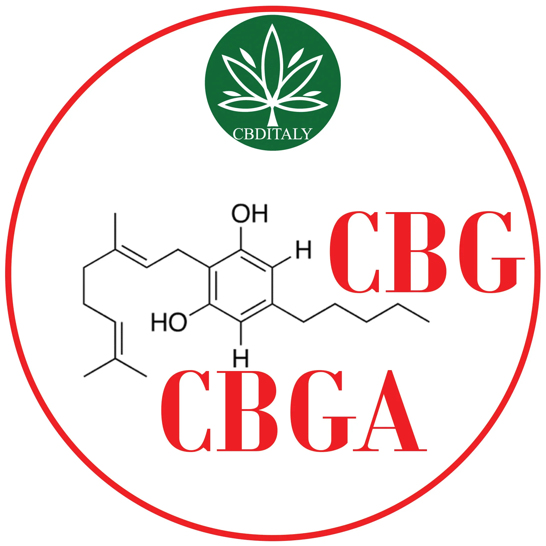 CBG-CBGA